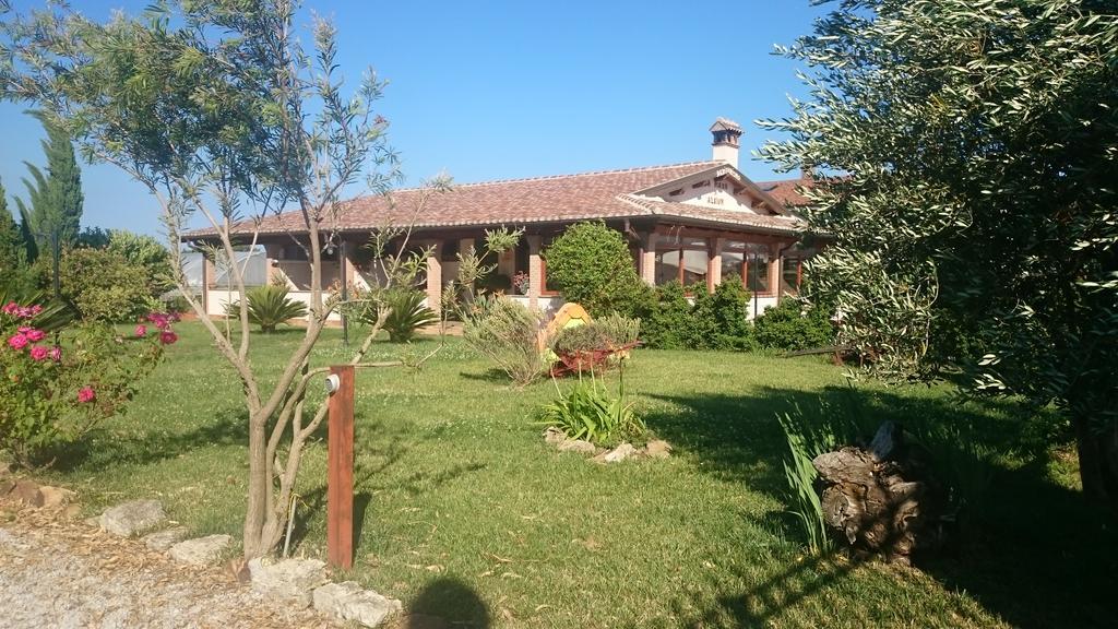 Villa La Piana Di Alsium à Ladispoli Extérieur photo
